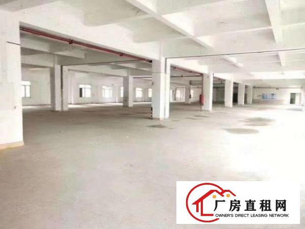  出租9层个人新建厂房，每层3000平，单层分租，马路边