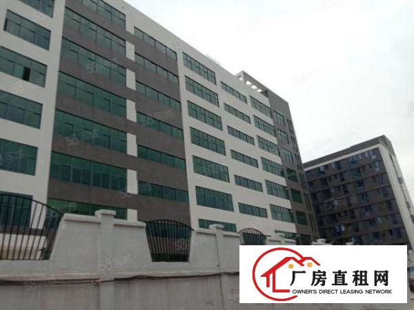  出租9层个人新建厂房，每层3000平，单层分租，马路边