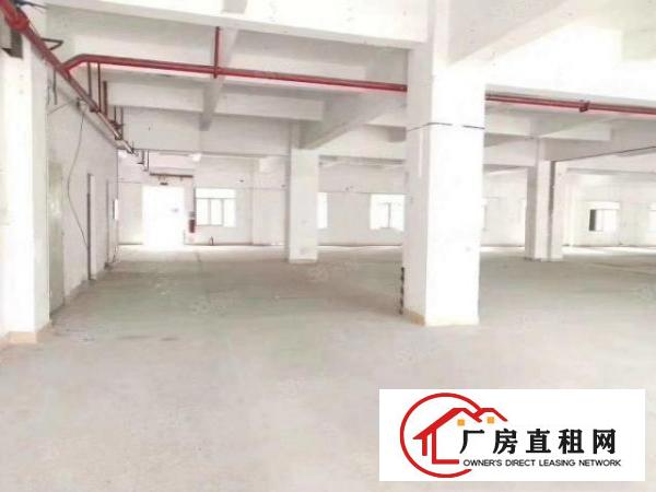 出租9层个人新建厂房，每层3000平，单层分租，马路边