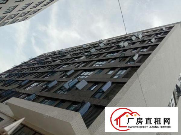  出租9层个人新建厂房，每层3000平，单层分租，马路边