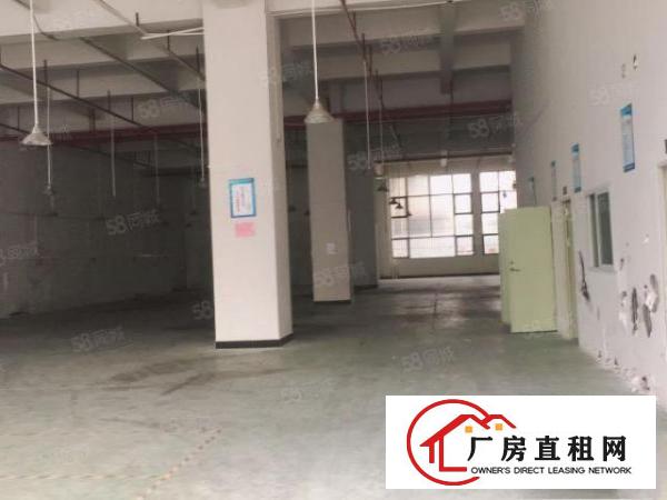  长安镇乌沙靠近新安大桥1楼2000平米重工业大小分租厂房招租