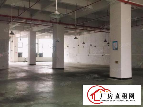  长安镇乌沙靠近新安大桥1楼2000平米重工业大小分租厂房招租