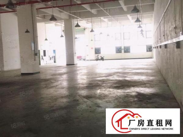  长安镇乌沙靠近新安大桥1楼2000平米重工业大小分租厂房招租