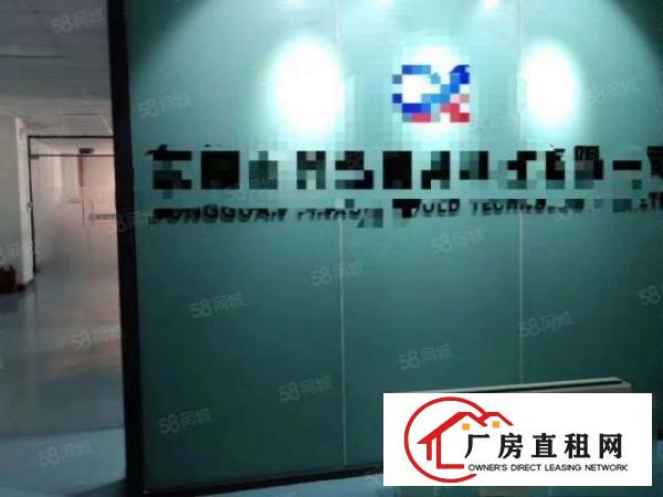  长安厦岗沿江高速出口新出楼上280平，带地坪漆，玻璃隔办公室