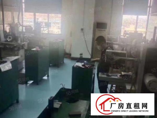  长安厦岗沿江高速出口新出楼上280平，带地坪漆，玻璃隔办公室