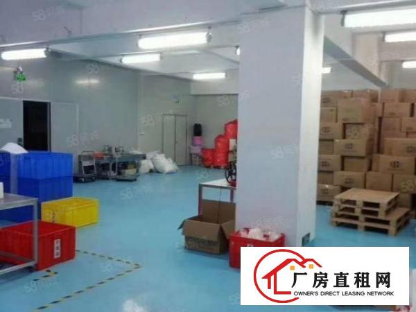  特价，口罩厂转租！长安霄边精装修厂房1000平转租