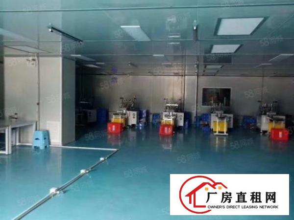  特价，口罩厂转租！长安霄边精装修厂房1000平转租