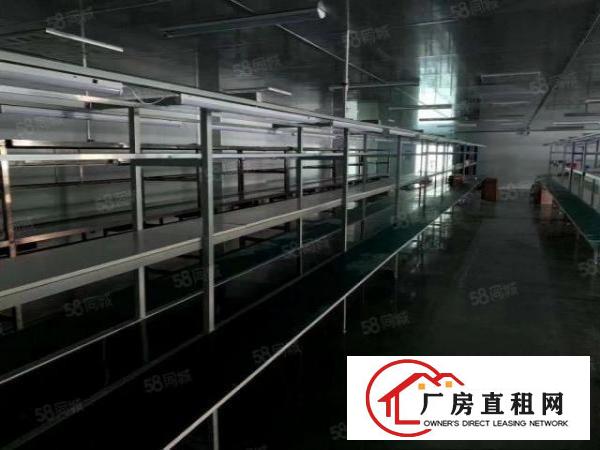  长安上沙2楼一整层万级无尘车间2200平方，水电齐全无转让费