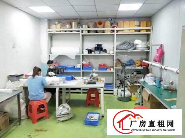  长安沙头新出楼上600平带精装修厂房出租