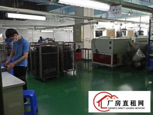  临深片区原房东，独门独院分租二楼一层带精装修800平方