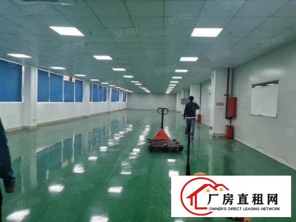  临深片区原房东，独门独院分租二楼一层带精装修800平方