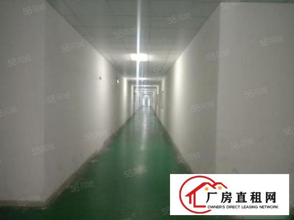  出租，长安公园1400平，豪华装修，形象好，4部电梯上下，