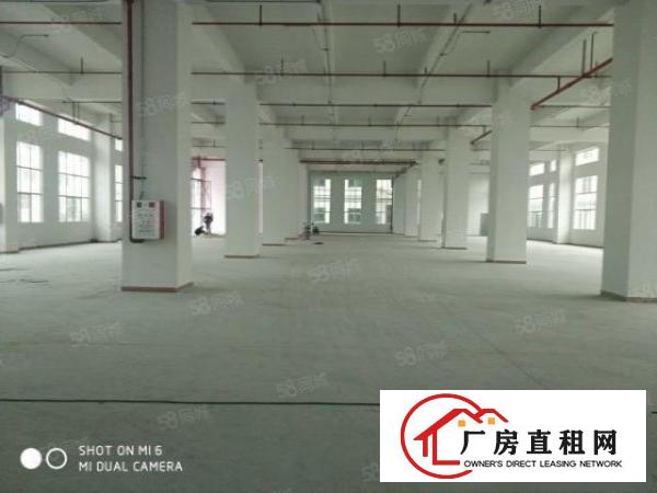  长安厦岗原房东红本独院3000平可整租可分租可开票