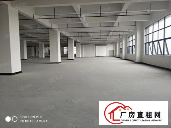  长安厦岗原房东红本独院3000平可整租可分租可开票