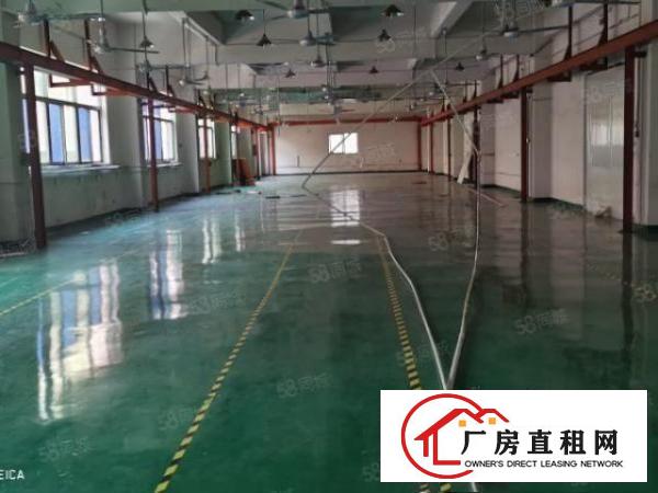  一手房东出租，独院厂房实际面积。
