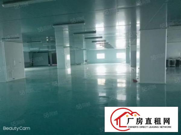  笋！沙头原房东3楼2200平米无尘车间，车间办公室豪华装修