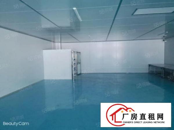  笋！沙头原房东3楼2200平米无尘车间，车间办公室豪华装修
