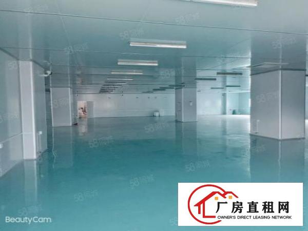  笋！沙头原房东3楼2200平米无尘车间，车间办公室豪华装修