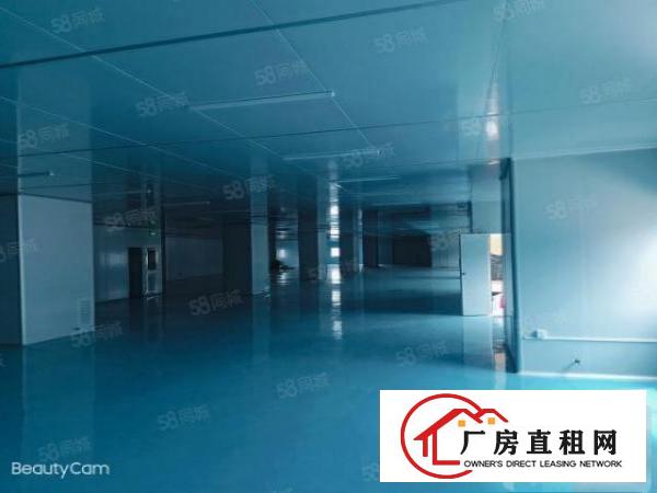  笋！沙头原房东3楼2200平米无尘车间，车间办公室豪华装修