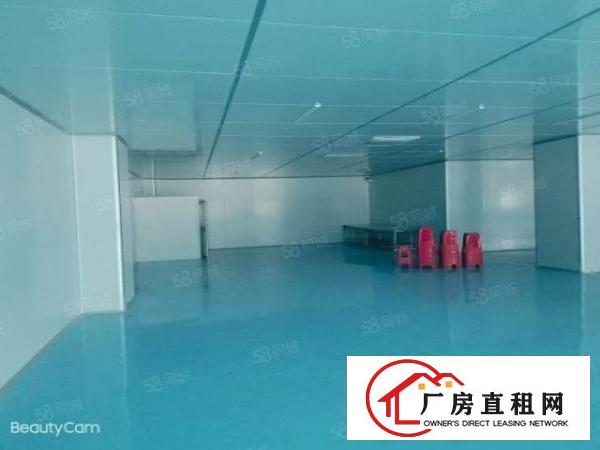  笋！沙头原房东3楼2200平米无尘车间，车间办公室豪华装修
