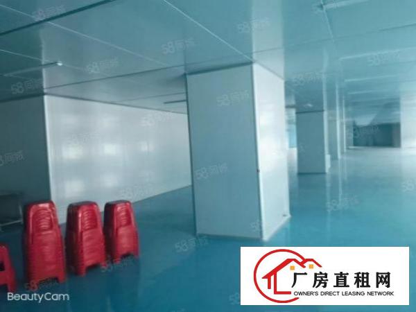  笋！沙头原房东3楼2200平米无尘车间，车间办公室豪华装修