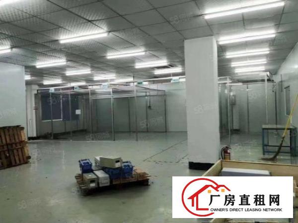  急租！长安涌头900平全新厂房出租，有办公室，水电到位