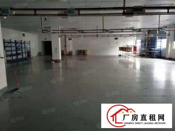  急租！长安涌头900平全新厂房出租，有办公室，水电到位