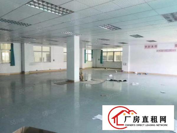  靓乌沙步步高现成带装修水电到位0成本入驻独院厂房分租