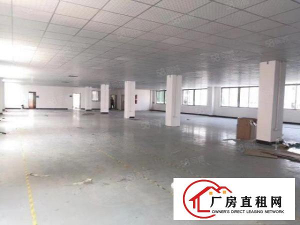  靓乌沙步步高现成带装修水电到位0成本入驻独院厂房分租