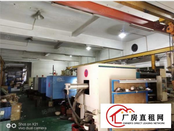  长安沙头一楼新出重工业带行车800平方厂房出租