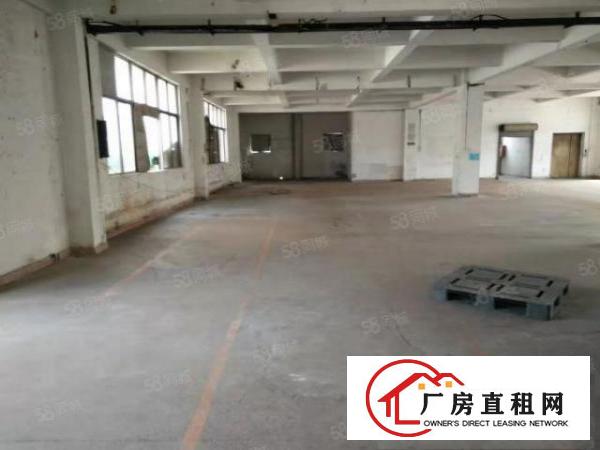  靓沙头现成带装修0成本入驻工业园区厂房分租独院厂房出租