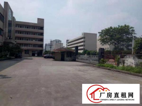  靓沙头现成带装修0成本入驻工业园区厂房分租独院厂房出租