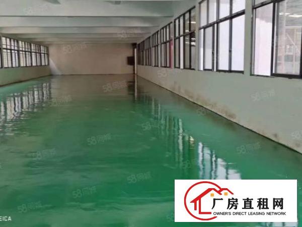  厦岗临近358省道及莲湖路交汇处新出独院2800平方整租22
