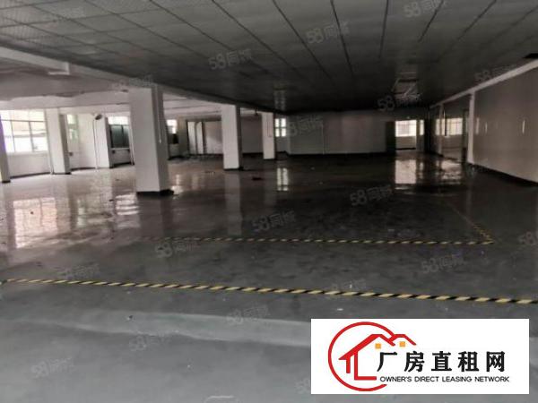  厦边新空出带精装修1100平厂房，有地坪漆
