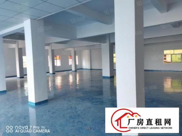  出租，长安上沙原房东中南中路2.3楼单层面积660平