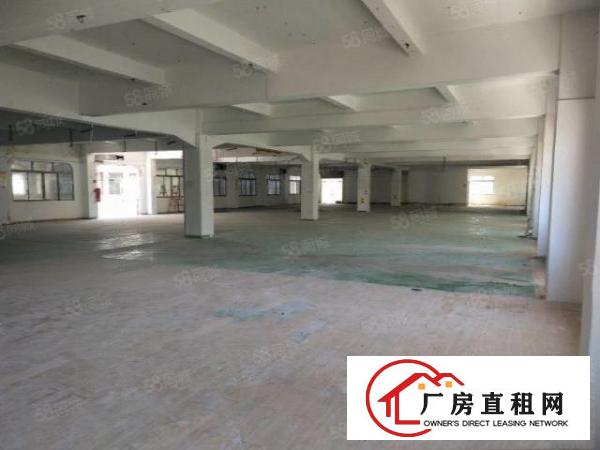  锦厦原房东楼上1800平厂房出租带前台及豪华办公室装修无公摊