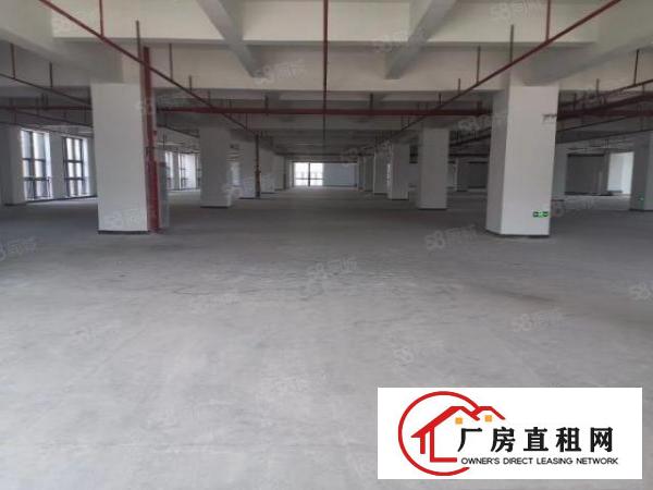 长安上沙新出6200平整层楼上工业园红本厂房出租仓库出租可分