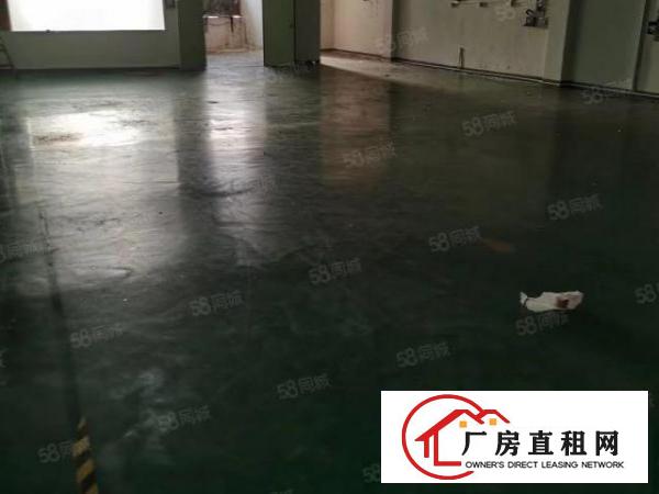  （无转让费）长安乌沙新出百级无尘车间1200平