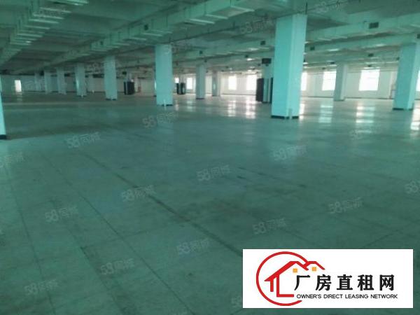  长安乌沙原房东厂房单层3000平精装水电齐全电子