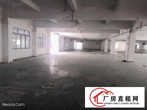  锦厦厂房出租1000带装修