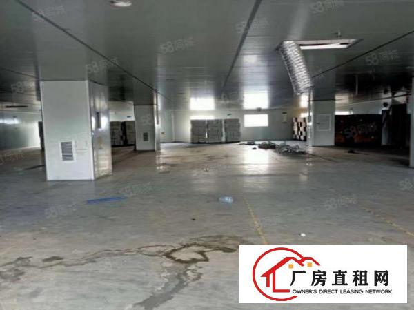  精装修厂房出租楼上1000平方水电齐全无需转让费无尘车间