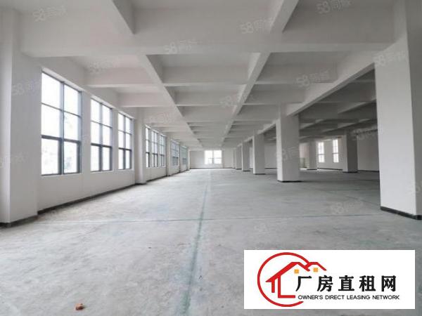  长安乌沙2300平米一楼全新厂房业主直租，离深圳仅一桥之隔