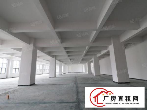  长安乌沙2300平米一楼全新厂房业主直租，离深圳仅一桥之隔