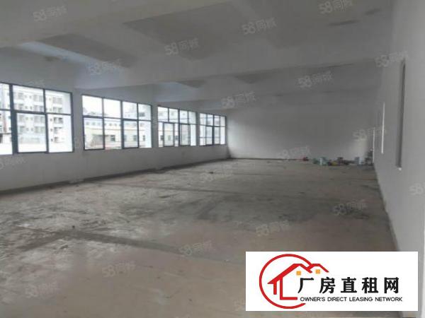  长安空出标准独院2层5000平厂房出租可分带地坪漆全新装修