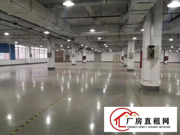  出租独院厂房15000平方长安镇刚空出原房东厂房水电齐全
