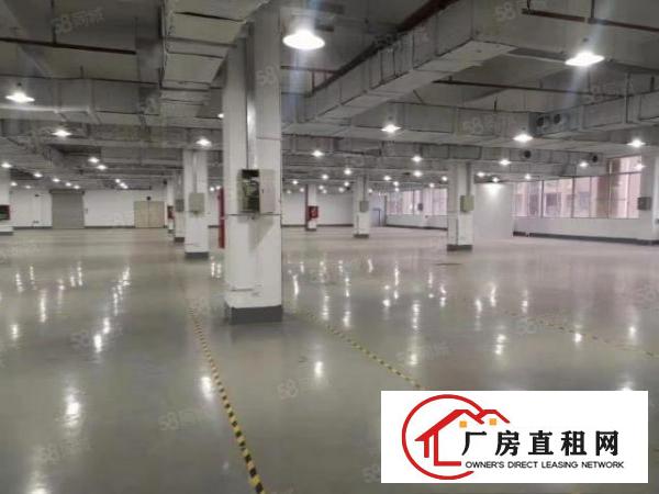  出租独院厂房15000平方长安镇刚空出原房东厂房水电齐全