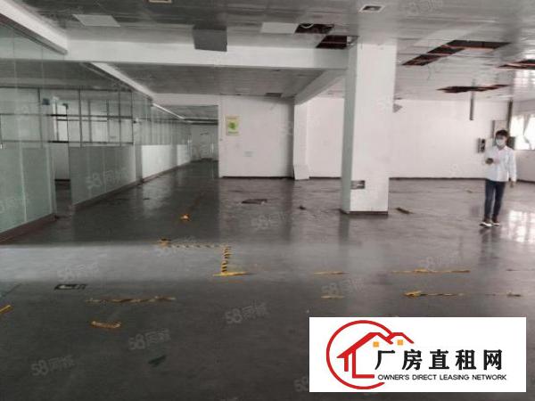  锦厦一楼豪华装修厂房寻找合适的老板
