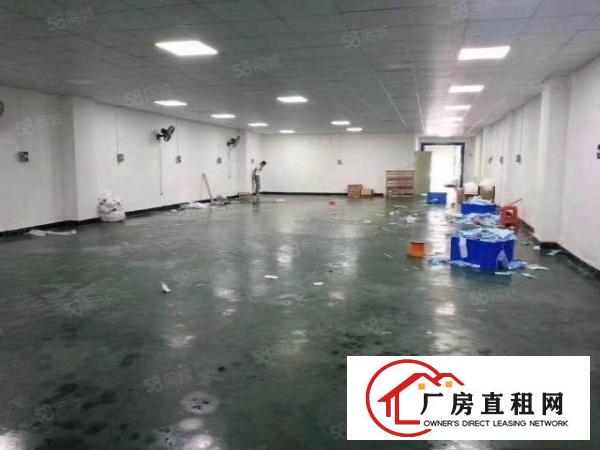  厦边新出一楼550平方水电齐全有装修办公室