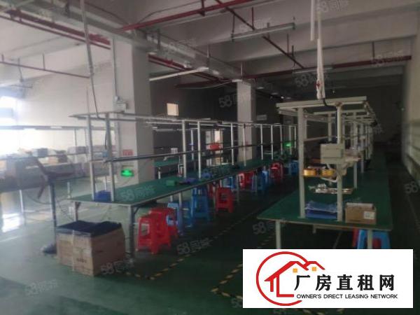  长安乌沙原房东独院厂房出租，500平，可分租