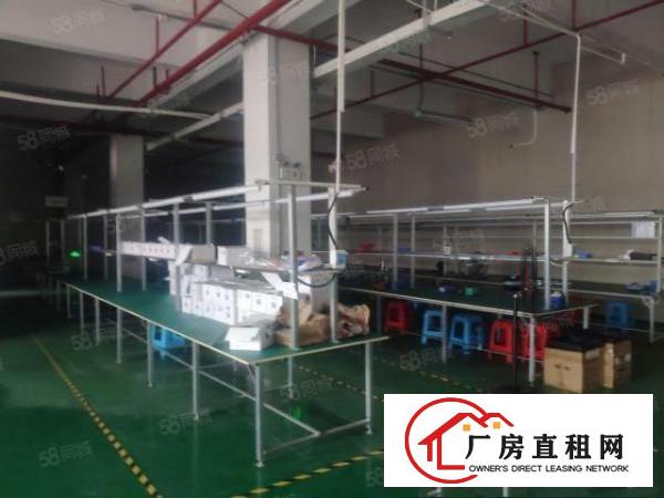  长安乌沙原房东独院厂房出租，500平，可分租